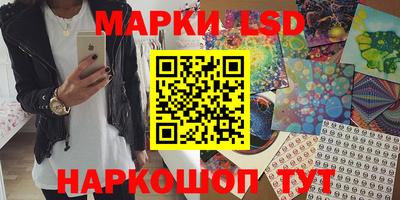 кокс Донской