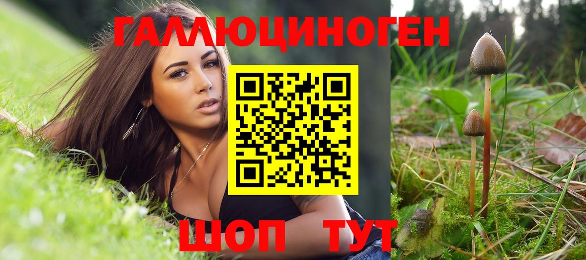 Видное  Галлюциногенные грибы Psilocybe  Вход с VPN 